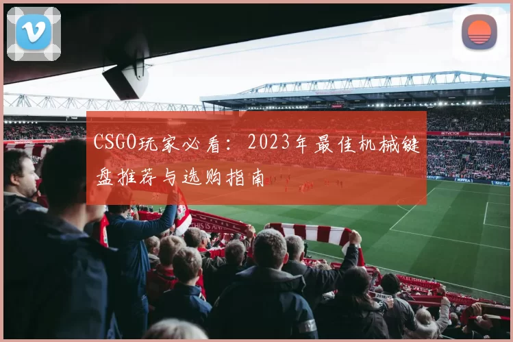 CSGO玩家必看：2023年最佳机械键盘推荐与选购指南