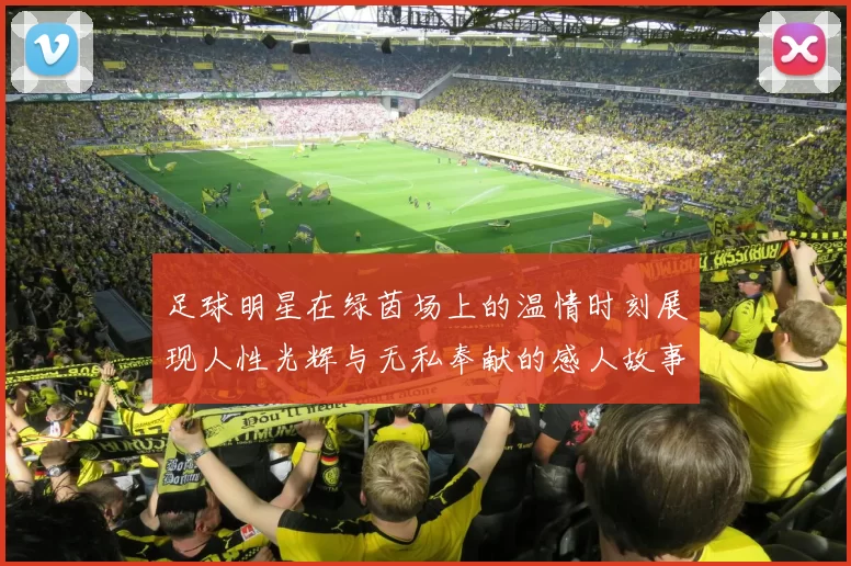 足球明星在绿茵场上的温情时刻展现人性光辉与无私奉献的感人故事