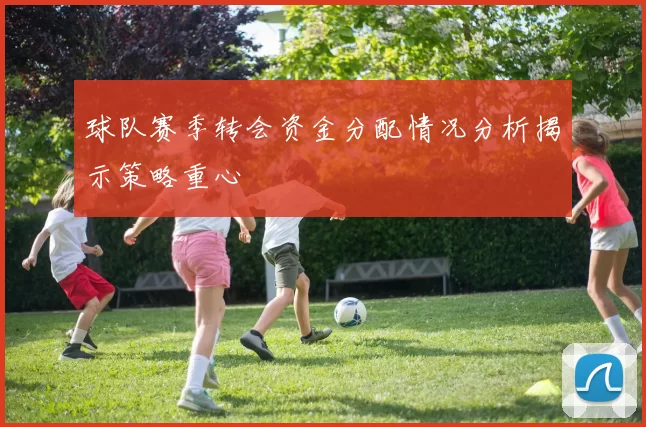 球队赛季转会资金分配情况分析揭示策略重心