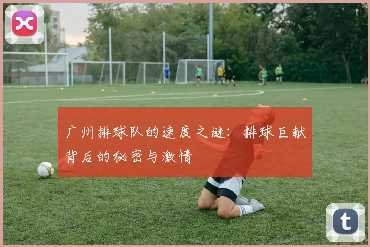 广州排球队的速度之谜：排球巨献背后的秘密与激情