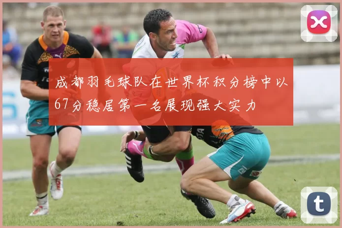 成都羽毛球队在世界杯积分榜中以67分稳居第一名展现强大实力