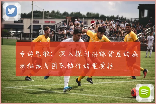 专访陈敏：深入探讨排球背后的成功秘诀与团队协作的重要性