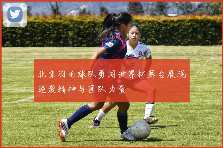 北京羽毛球队勇闯世界杯舞台展现逆袭精神与团队力量