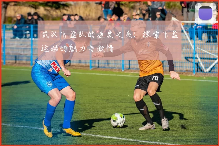 武汉飞盘队的速度之美：探索飞盘运动的魅力与激情
