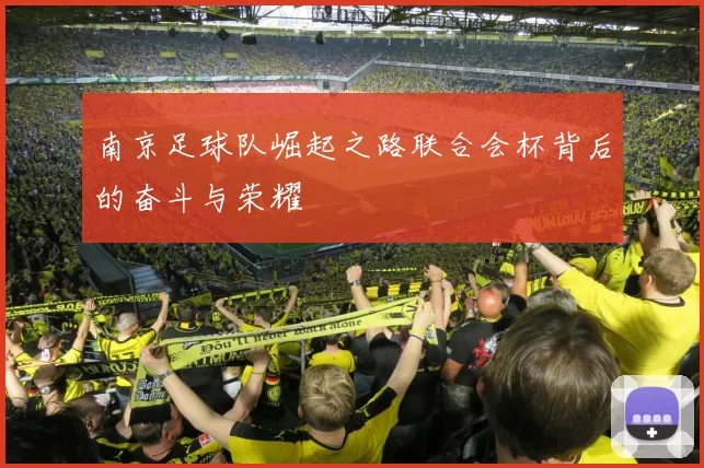 南京足球队崛起之路联合会杯背后的奋斗与荣耀