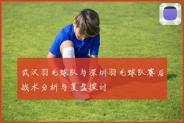 武汉羽毛球队与深圳羽毛球队赛后战术分析与复盘探讨