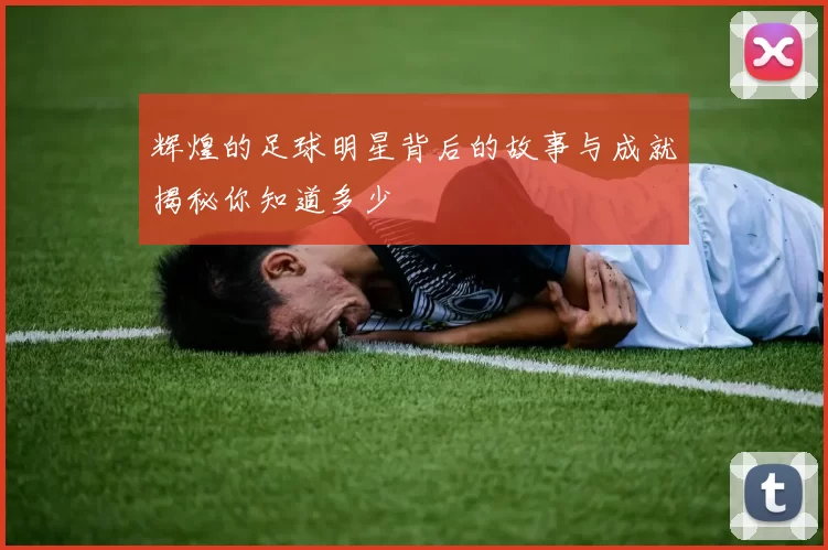辉煌的足球明星背后的故事与成就揭秘你知道多少