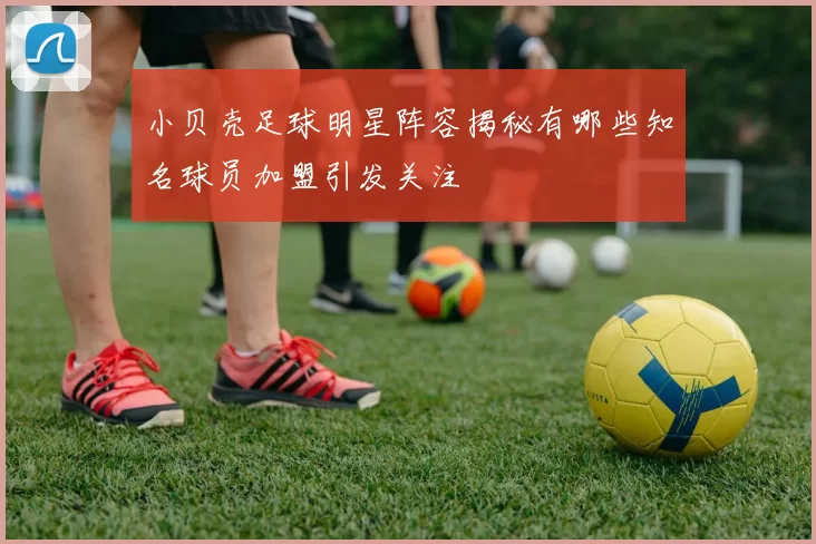 小贝壳足球明星阵容揭秘有哪些知名球员加盟引发关注