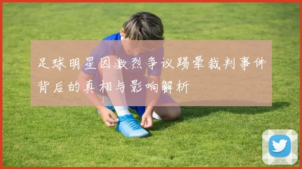 足球明星因激烈争议踢晕裁判事件背后的真相与影响解析
