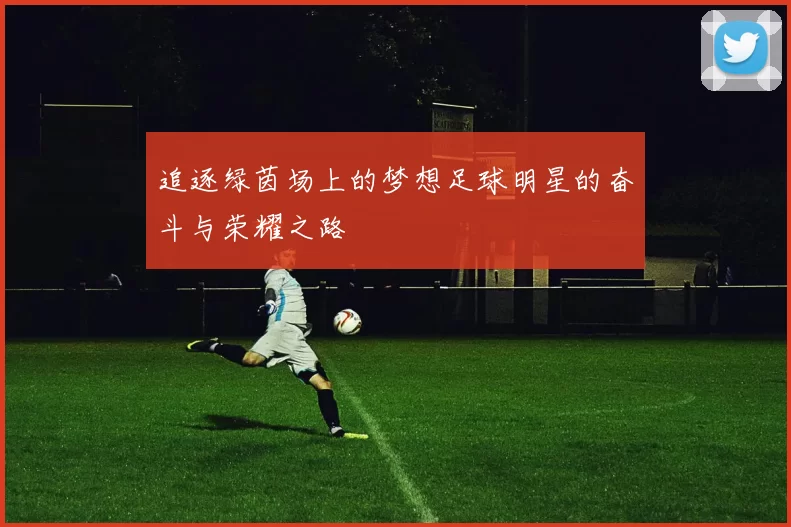 追逐绿茵场上的梦想足球明星的奋斗与荣耀之路