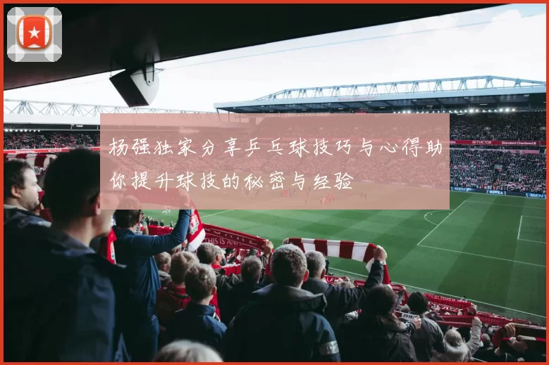 杨强独家分享乒乓球技巧与心得助你提升球技的秘密与经验