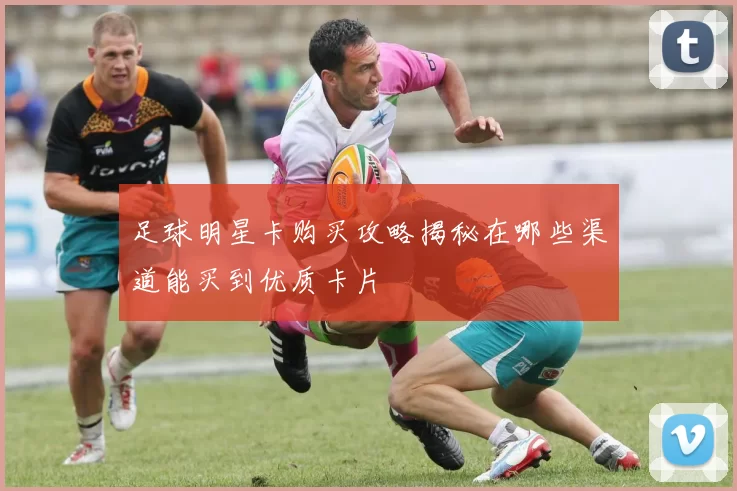 足球明星卡购买攻略揭秘在哪些渠道能买到优质卡片