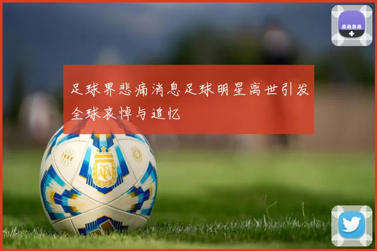 足球界悲痛消息足球明星离世引发全球哀悼与追忆