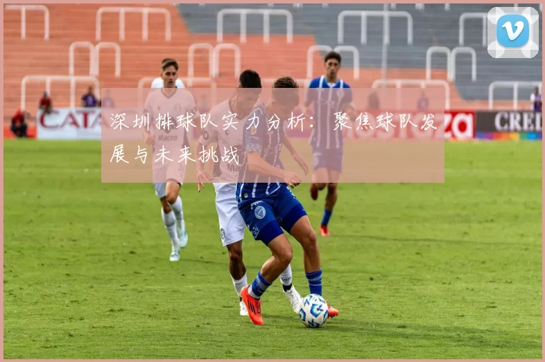 深圳排球队实力分析：聚焦球队发展与未来挑战