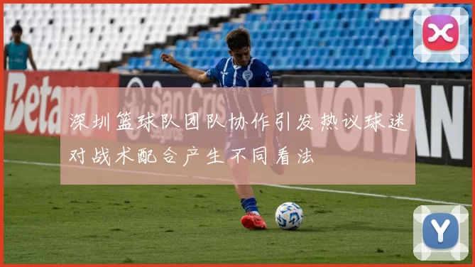 深圳篮球队团队协作引发热议球迷对战术配合产生不同看法
