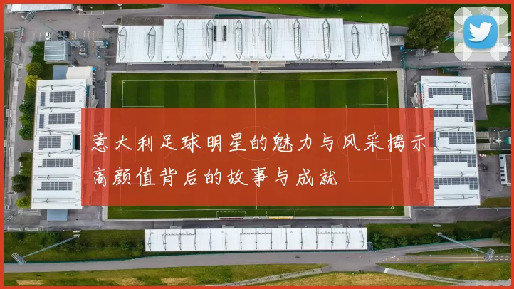 意大利足球明星的魅力与风采揭示高颜值背后的故事与成就