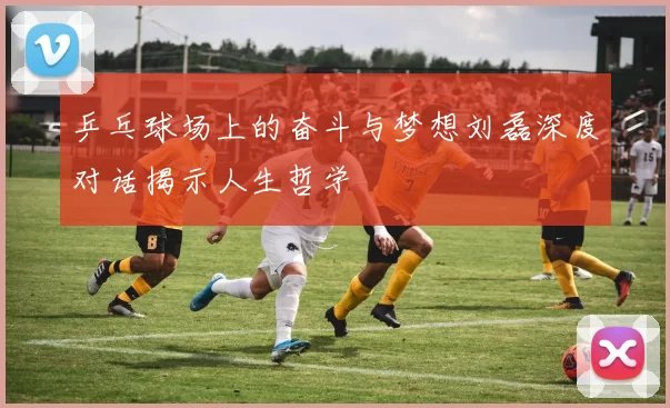 乒乓球场上的奋斗与梦想刘磊深度对话揭示人生哲学