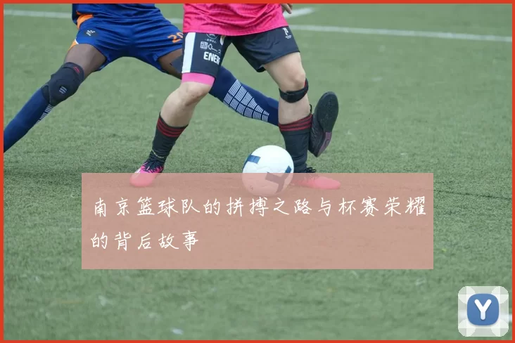 南京篮球队的拼搏之路与杯赛荣耀的背后故事