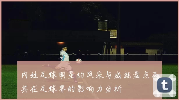 内姓足球明星的风采与成就盘点及其在足球界的影响力分析