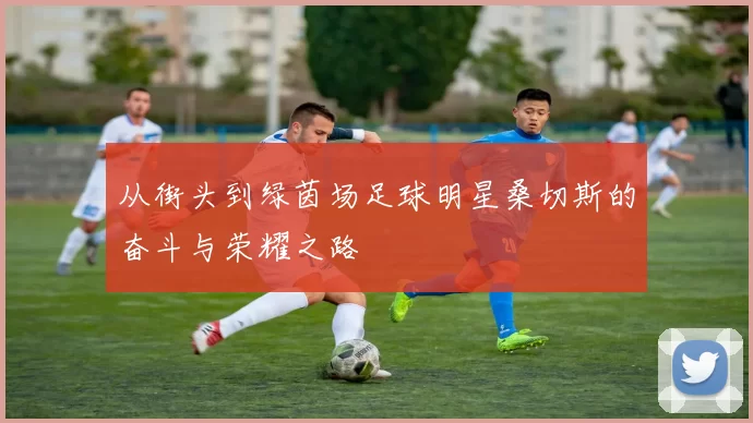 从街头到绿茵场足球明星桑切斯的奋斗与荣耀之路